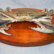 Blue Crab, Front View