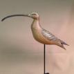 Miniature Long Billed Curlew